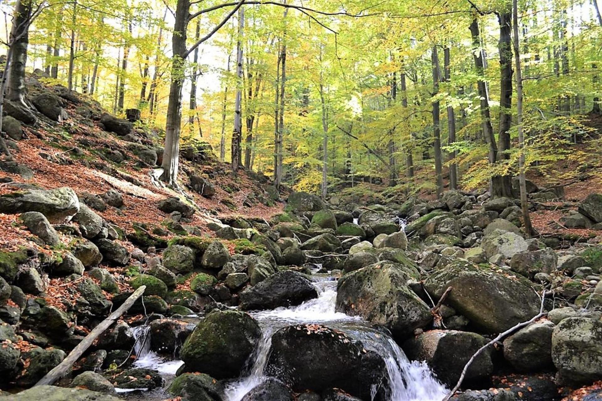 Chata Jizerke Hory Solcuv Rybnik Raspenava Dış mekan fotoğraf